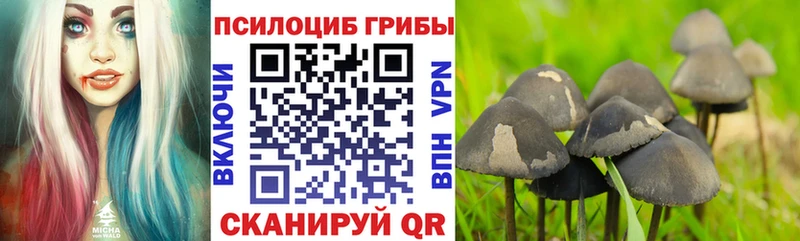 OMG tor  Бирск  Галлюциногенные грибы Magic Shrooms  цена  